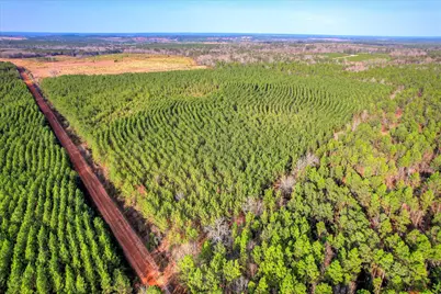 0 Old Thomson Road, Wrens, GA 30833 - Photo 4