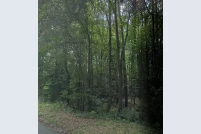6.5A Bradleyville Lane, North Augusta, SC 29841 - Photo 1