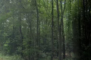 2A Bradleyville Ln, North Augusta, SC 29841 - Photo 1