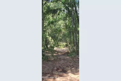 6 Acres Woodberry Lane, North Augusta, SC 29841 - Photo 2