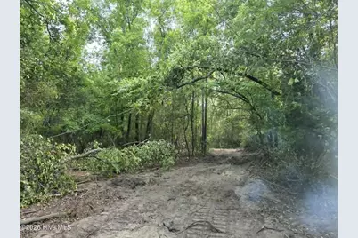 6 Acres Woodberry Lane, North Augusta, SC 29841 - Photo 4