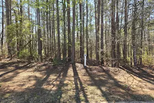 N-27B Saluda Ct, North Augusta, SC 29860 - Photo 1