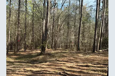 Lot 65 Maiden Cane Way, Lincolnton, GA 30817 - Photo 8