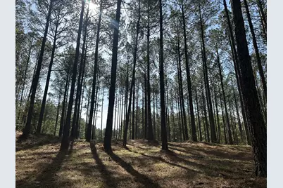 Lot 65 Maiden Cane Way, Lincolnton, GA 30817 - Photo 4