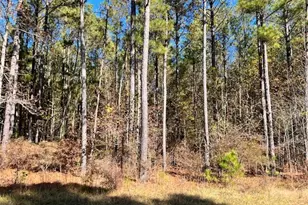 0 Mariners Way, Lincolnton, GA 30817 - Photo 1