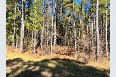 0 Mariners Way, Lincolnton, GA 30817 - Photo 2