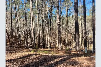 0 Oconee Lane, McCormick, SC 29835 - Photo 2