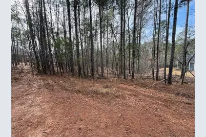 14-33 Kristen Lane, McCormick, SC 29835 - Photo 2