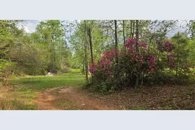 0 McGahee Road, Evans, GA 30809 - Photo 4