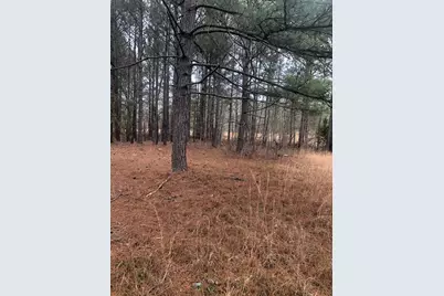 4.17 Acres Starr Hinson Road, Thomson, GA 30824 - Photo 12