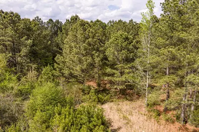 4.17 Acres Starr Hinson Road, Thomson, GA 30824 - Photo 8