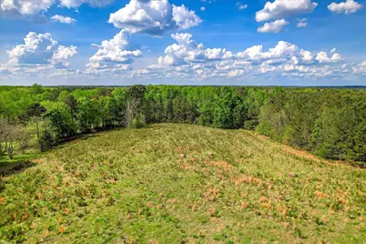 6995 Cobbham Road, Appling, GA 30802 - Photo 12