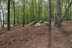 1010 Nautical Point, Lincolnton, GA 30817 - Photo 6