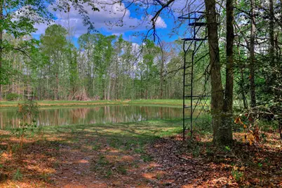 2146 Thomson Highway, Warrenton, GA 30828 - Photo 44