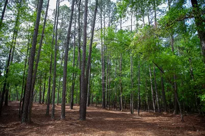 6011 Old Union Road, Harlem, GA 30814 - Photo 18