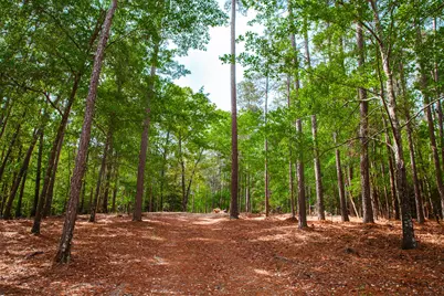 6011 Old Union Road, Harlem, GA 30814 - Photo 44