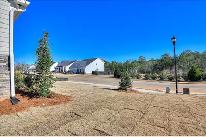 412 Minim Way, North Augusta, SC 29860 - Photo 46