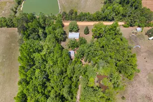 3347 Dickey Rd, Millen, GA 30442 - Photo 28