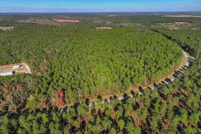 10596 Sand Valley Road, Avera, GA 30803 - Photo 10