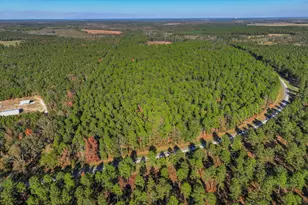 10596 Sand Valley Rd, Avera, GA 30803 - Photo 10