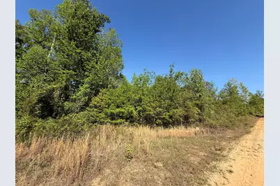 8087 Sandhill Road, Mitchell, GA 30820 - Photo 2