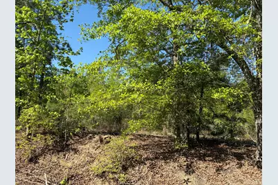 8087 Sandhill Road, Mitchell, GA 30820 - Photo 6
