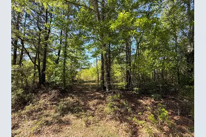 8087 Sandhill Road, Mitchell, GA 30820 - Photo 8