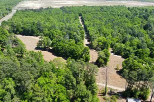 0 Mike Padgett Hwy, Augusta, GA 30906 - Photo 68