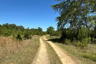 4230 W Quaker Rd, Keysville, GA 30816 - Photo 10