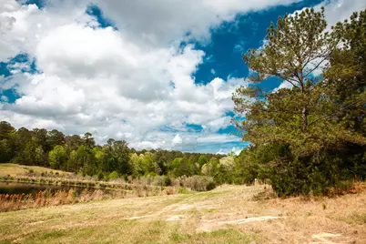 00 Ralph Goolsby Road, Lincolnton, GA 30817 - Photo 4
