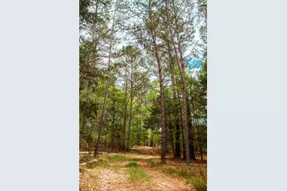 00 Ralph Goolsby Road, Lincolnton, GA 30817 - Photo 14
