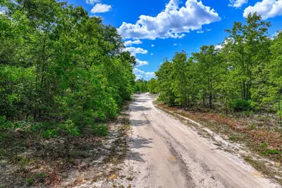 2507 Jamestown Road, Matthews, GA 30818 - Photo 58