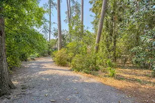 3012 Walton Wy, Augusta, GA 30909 - Photo 34