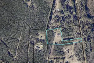 562 Boll Weevil Rd, Waynesboro, GA 30830 - Photo 52