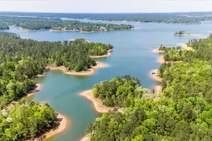 4375 Chamberlain S Ferry Rd, Lincolnton, GA 30817 - Photo 50