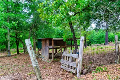 231 Holley Pond Road, Batesburg, SC 29006 - Photo 10