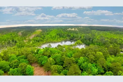 231 Holley Pond Road, Batesburg, SC 29006 - Photo 2