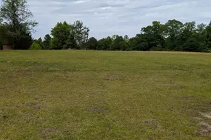 3155 Mesena Rd, Thomson, GA 30824 - Photo 22