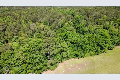 11.37 Ac Hwy 220 E, Lincolnton, GA 30817 - Photo 6
