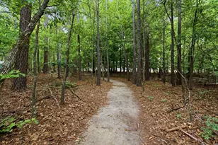 1452 SE Karen Ln, Thomson, GA 30824 - Photo 54