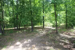2425 Patterson Bridge Ext, Hephzibah, GA 30815 - Photo 50