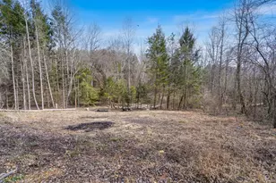 155 Ivy Knob Terrace, Hayesville, NC 28904 - Photo 52