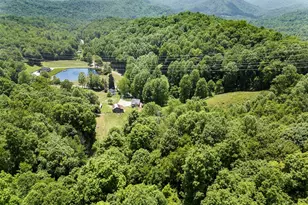 1651 Winding Stairs Rd, Topton, NC 28781 - Photo 56