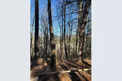 Lot 60 Thundering Hill, Murphy, NC 28906 - Photo 2
