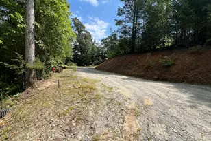 294 Pioneer Ests Rd, Murphy, NC 28906 - Photo 1