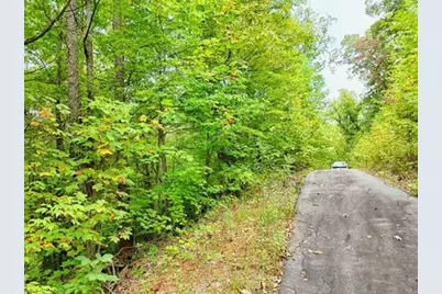 Lot 28 Skyview Drive, Hayesville, NC 28904 - Photo 4