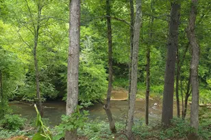 721 Holly Pt Dr, Murphy, NC 28906 - Photo 6