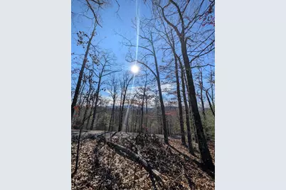 Lot 31 Tower Falls Lane, Hayesville, NC 28904 - Photo 1
