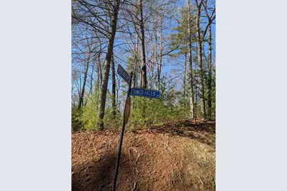 Lot 31 Tower Falls Lane, Hayesville, NC 28904 - Photo 8