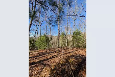 Lot 31 Tower Falls Lane, Hayesville, NC 28904 - Photo 10